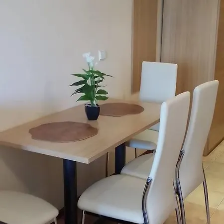 Kaya House 8 * Слънчев бряг